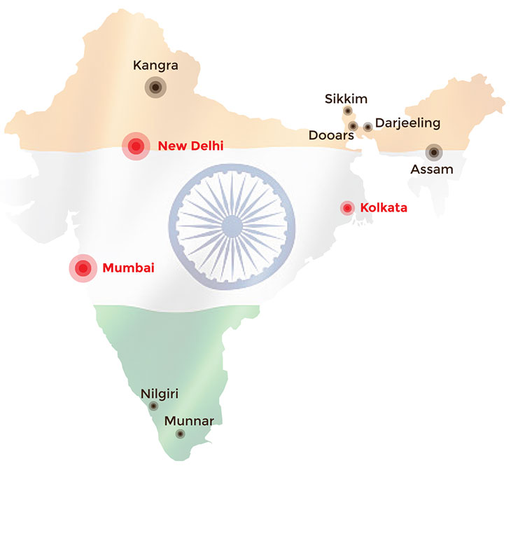 India Tea Regions