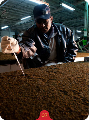 Fermentation - Oxidation