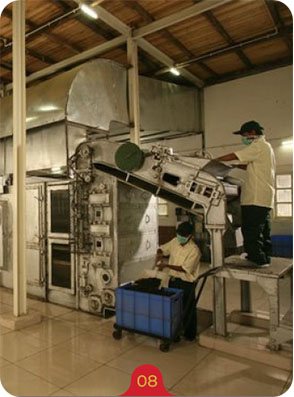 Two Leaves and a Bud