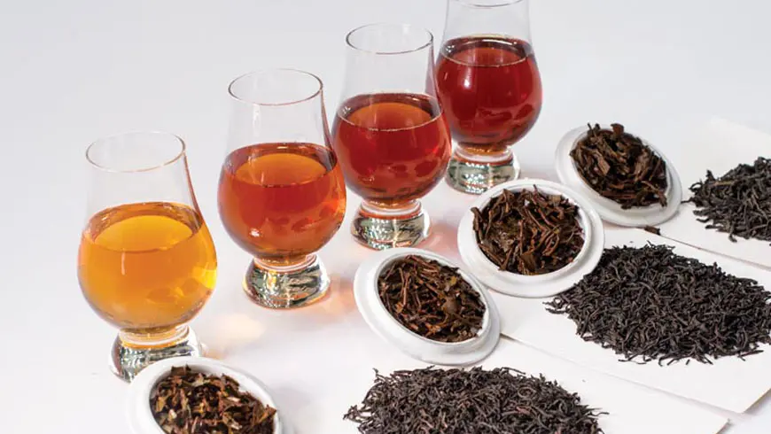 Grades of Ceylon Tea