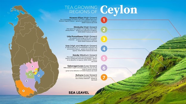 Why Ceylon Tea Is the Best